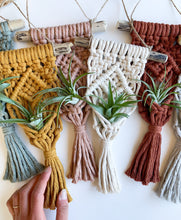 Load image into Gallery viewer, macrame driftwood air plant hangers