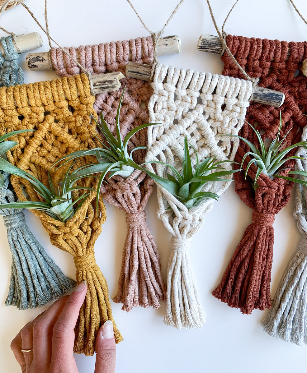 Macrame factory Air Plant Hangers Display of Four (4) on 36