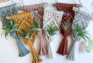 six macrame driftwood air plant hangers in sage, mustard, antique peach, natural, rust and mist gray