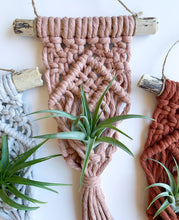 Load image into Gallery viewer, antique peach air plant hanger