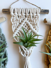 Load image into Gallery viewer, natural air plant hanger