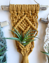Load image into Gallery viewer, mustard air plant hanger