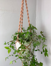 Load image into Gallery viewer, antique peach ceiling plant hanger
