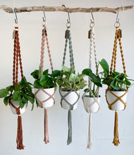 Load image into Gallery viewer, five macrame spiral ceiling plant hangers