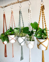 Load image into Gallery viewer, five macrame spiral ceiling plant hangers