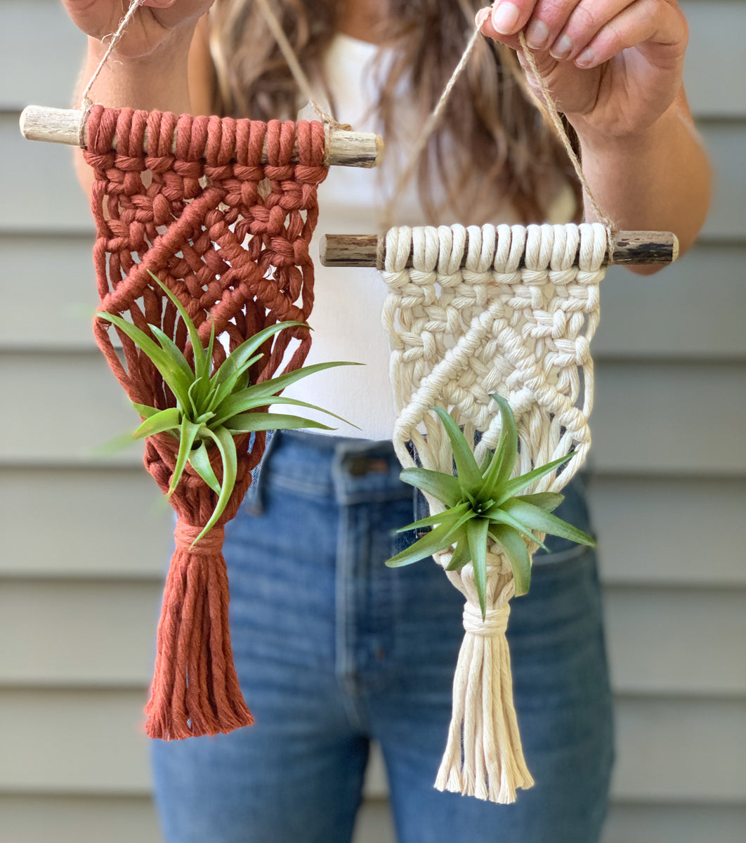 Macrame factory Air Plant Hangers Display of Four (4) on 36