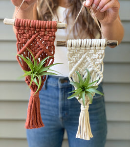holding two air plant hangers with air plants