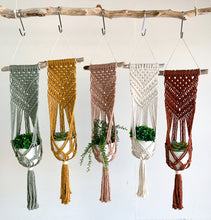 Load image into Gallery viewer, handmade driftwood plant hangers in sage, mustard, antique peach, natural and rust