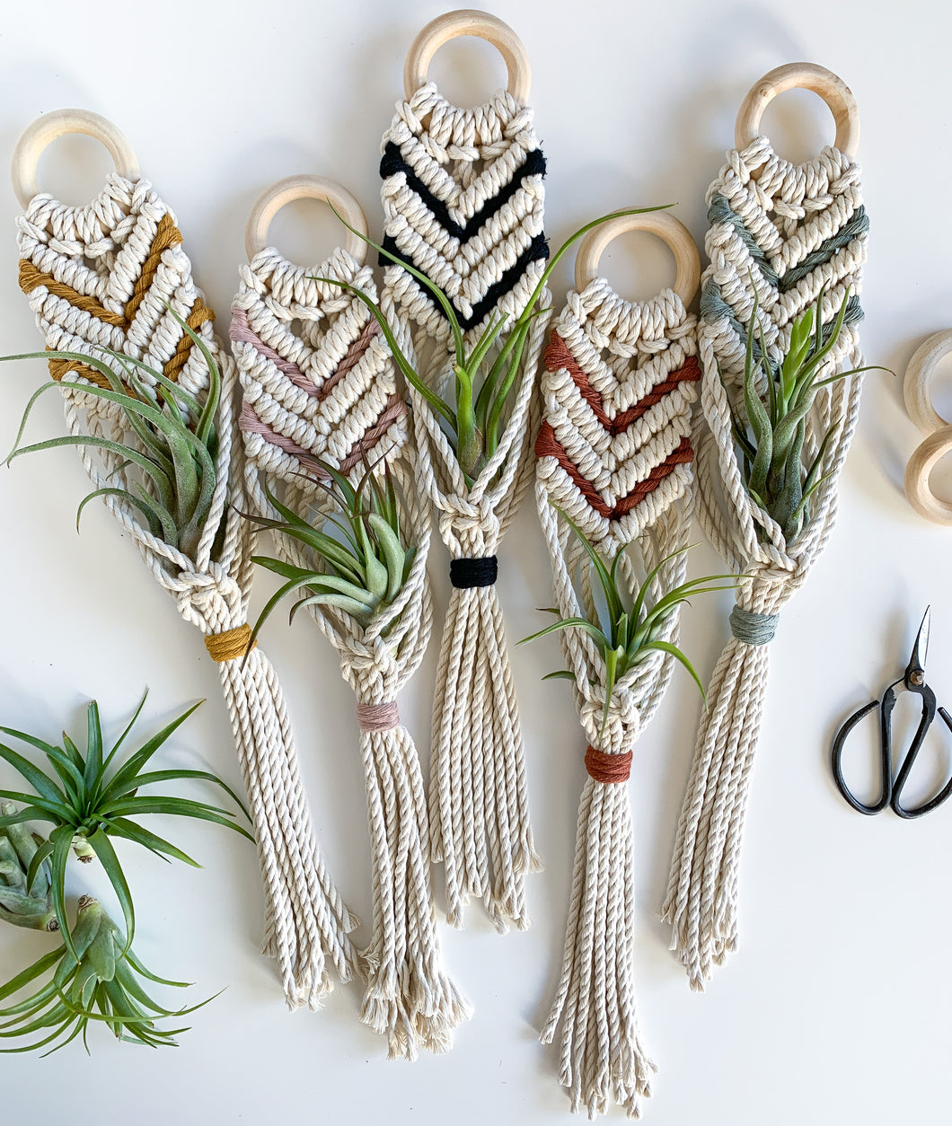 five woven air plant holders in a flat lay 
