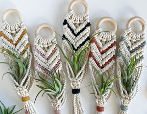 five woven air plant holders in a flat lay 