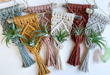 Load image into Gallery viewer, six macrame driftwood air plant hangers in sage, mustard, antique peach, natural, rust and mist gray