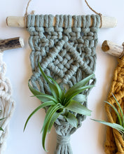 Load image into Gallery viewer, sage green air plant hanger