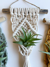 Load image into Gallery viewer, natural air plant hanger
