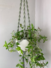 Load image into Gallery viewer, sage green ceiling plant hanger