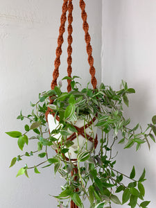 bondage plant hanger Spiral Plant Hanger – Tied + True Goods