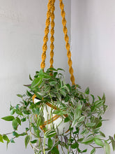 Load image into Gallery viewer, mustard ceiling plant hanger
