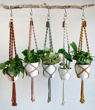 Load image into Gallery viewer, five macrame spiral ceiling plant hangers 