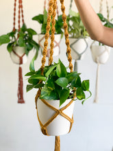 Load image into Gallery viewer, close-up of mustard ceiling plant hanger
