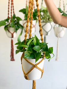 close-up of mustard ceiling plant hanger