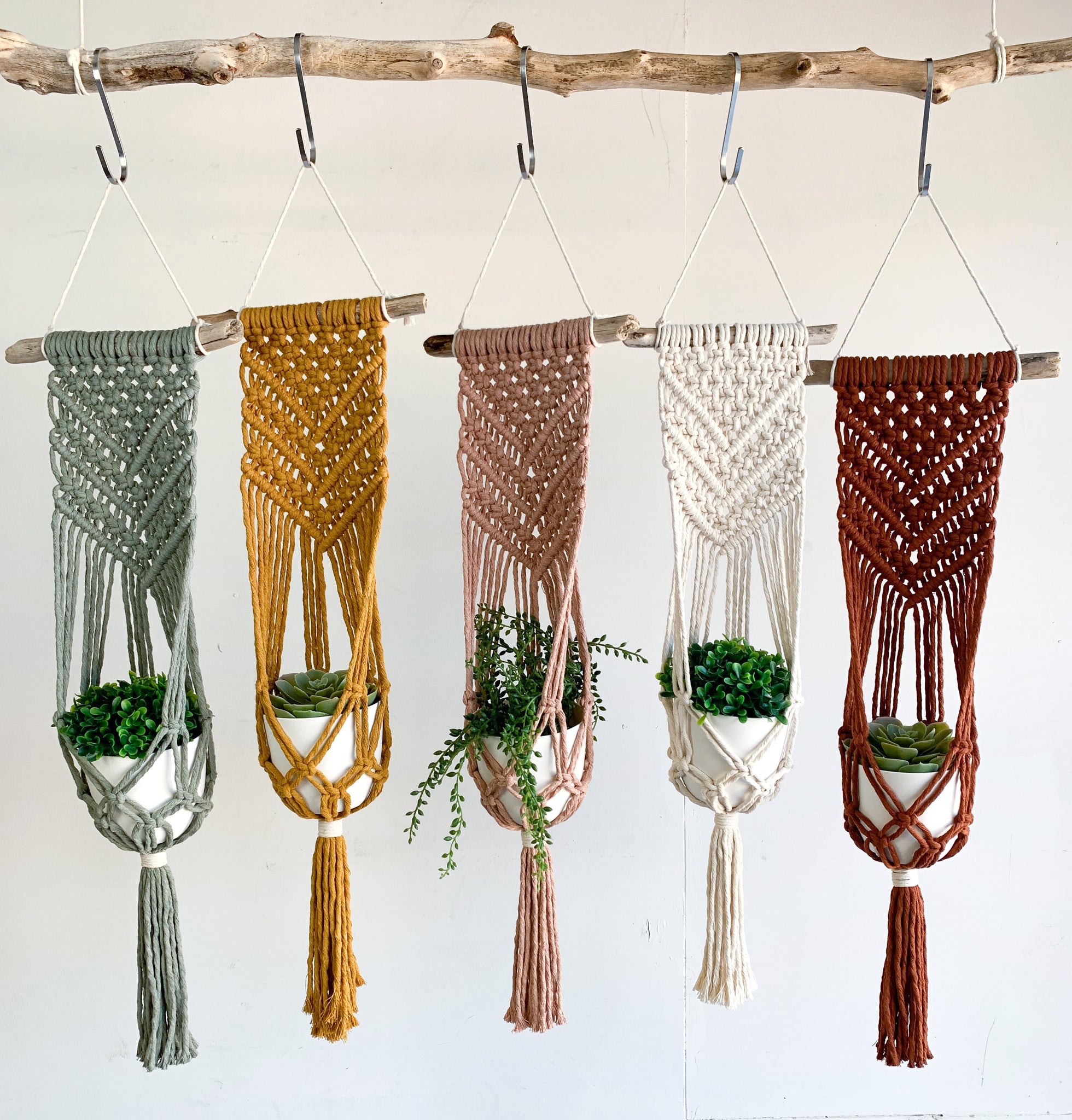 drift wood plant hanger Driftwood Plant Hanger – Tied + True Goods